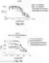 Fig. 32 - BIARYL COMPOSITIONS AND METHODS FOR MODULATING A KINASE CASCADE