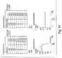 Fig. 41 - BIARYL COMPOSITIONS AND METHODS FOR MODULATING A KINASE CASCADE