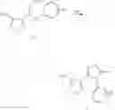 Fig. 05 - Heterocyclic urea compound, and drug composition and application thereof