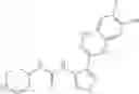 Fig. 22 - Heterocyclic urea compound, and drug composition and application thereof