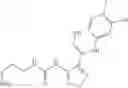 Fig. 25 - Heterocyclic urea compound, and drug composition and application thereof