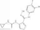 Fig. 76 - Heterocyclic urea compound, and drug composition and application thereof