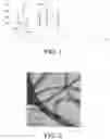 Fig. 02 - Method for preparing epsilon-caprolactone