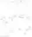 Fig. 33 - Heteroaromatic compounds and their use as dopamine D1 ligands