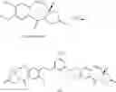 Fig. 117 - Benzodiazepine derivatives and uses thereof