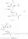 Fig. 86 - Benzodiazepine derivatives and uses thereof