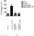 Fig. 07 - Prodrugs of Nh-acidic compounds