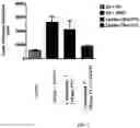 Fig. 08 - Prodrugs of Nh-acidic compounds