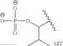 Fig. 216 - Prodrugs of Nh-acidic compounds