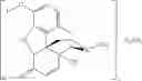 Fig. 40 - PROCESS FOR IMPROVED OPIOID SYNTHESIS