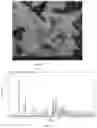 Fig. 08 - PHARMACEUTICAL CO-CRYSTAL COMPOSITION AND USE THEREOF