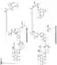 Fig. 08 - Trigger-activatable sugar conjugates for cancer-selective labeling and targeting