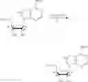 Fig. 112 - Compositions and methods of modulating the immune response by activating alpha protein kinase 1