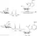 Fig. 114 - Compositions and methods of modulating the immune response by activating alpha protein kinase 1