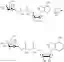 Fig. 116 - Compositions and methods of modulating the immune response by activating alpha protein kinase 1