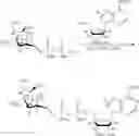 Fig. 121 - Compositions and methods of modulating the immune response by activating alpha protein kinase 1