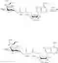 Fig. 122 - Compositions and methods of modulating the immune response by activating alpha protein kinase 1