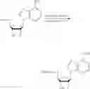 Fig. 126 - Compositions and methods of modulating the immune response by activating alpha protein kinase 1