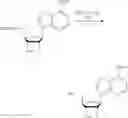 Fig. 127 - Compositions and methods of modulating the immune response by activating alpha protein kinase 1