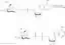 Fig. 133 - Compositions and methods of modulating the immune response by activating alpha protein kinase 1