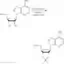 Fig. 135 - Compositions and methods of modulating the immune response by activating alpha protein kinase 1