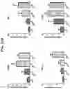 Fig. 14 - Compositions and methods of modulating the immune response by activating alpha protein kinase 1