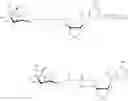 Fig. 142 - Compositions and methods of modulating the immune response by activating alpha protein kinase 1