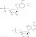 Fig. 147 - Compositions and methods of modulating the immune response by activating alpha protein kinase 1