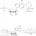 Fig. 149 - Compositions and methods of modulating the immune response by activating alpha protein kinase 1