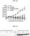 Fig. 16 - Compositions and methods of modulating the immune response by activating alpha protein kinase 1