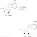 Fig. 164 - Compositions and methods of modulating the immune response by activating alpha protein kinase 1