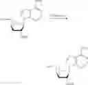 Fig. 166 - Compositions and methods of modulating the immune response by activating alpha protein kinase 1
