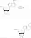 Fig. 176 - Compositions and methods of modulating the immune response by activating alpha protein kinase 1