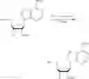 Fig. 201 - Compositions and methods of modulating the immune response by activating alpha protein kinase 1