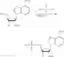 Fig. 202 - Compositions and methods of modulating the immune response by activating alpha protein kinase 1