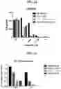 Fig. 21 - Compositions and methods of modulating the immune response by activating alpha protein kinase 1