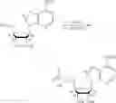 Fig. 216 - Compositions and methods of modulating the immune response by activating alpha protein kinase 1