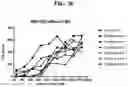 Fig. 23 - Compositions and methods of modulating the immune response by activating alpha protein kinase 1