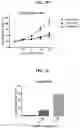 Fig. 27 - Compositions and methods of modulating the immune response by activating alpha protein kinase 1