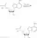 Fig. 75 - Compositions and methods of modulating the immune response by activating alpha protein kinase 1