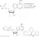 Fig. 76 - Compositions and methods of modulating the immune response by activating alpha protein kinase 1
