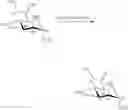 Fig. 85 - Compositions and methods of modulating the immune response by activating alpha protein kinase 1