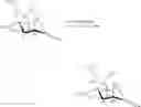 Fig. 91 - Compositions and methods of modulating the immune response by activating alpha protein kinase 1
