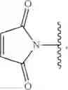 Fig. 197 - PREPARATION OF OLIGO CONJUGATES