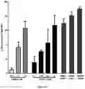 Fig. 06 - Vasoactive polypeptides for smooth muscle relaxation