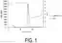 Fig. 02 - Solid-phase support comprising IgG-binding peptide, and method for separating IgG