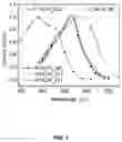 Fig. 02 - COMPOSITIONS AND METHODS FOR USE OF ANION CHANNEL RHODOPSINS
