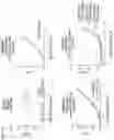 Fig. 07 - TIGIT- AND LIGHT-BASED CHIMERIC PROTEINS