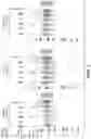 Fig. 13 - Anti-tau antibodies and methods of use