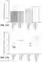 Fig. 33 - Anti-tau antibodies and methods of use